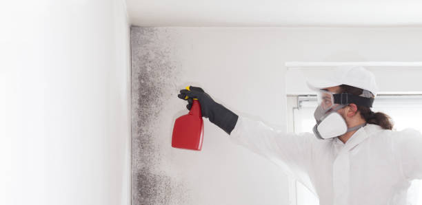 Best Mold Testing  in Morgantown, IN